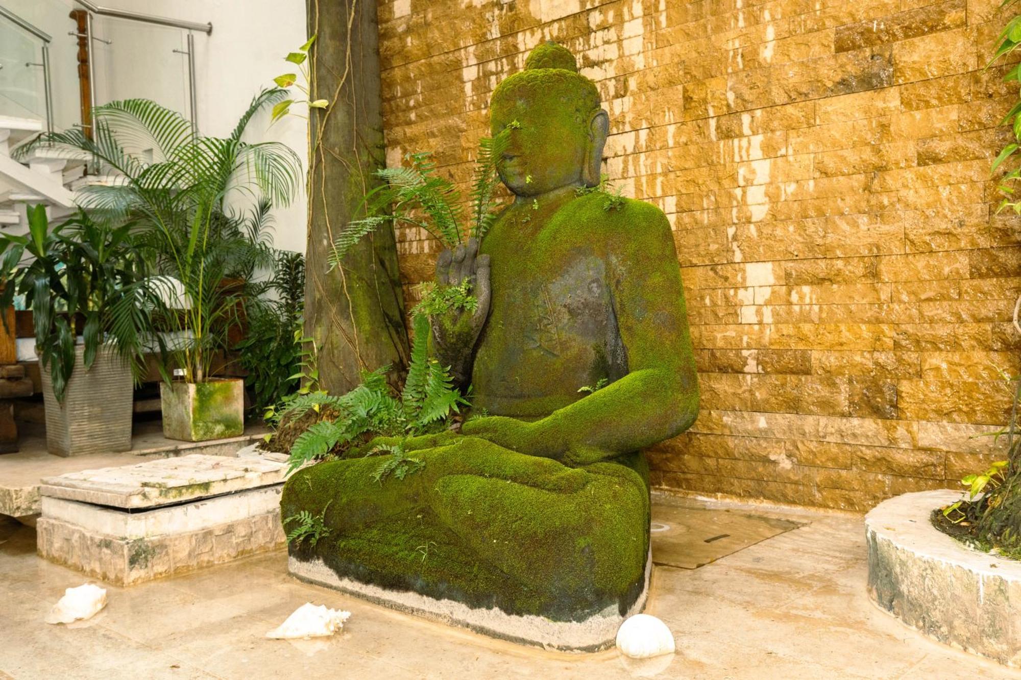 Hotel Aguamarina Boutique (Adults Only) Cartagena Eksteriør billede
